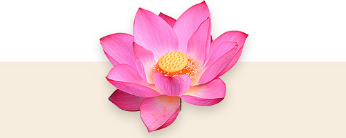 The body of the fragrance is a beautiful bouquet of Lotus Flower enriched with Jasmine