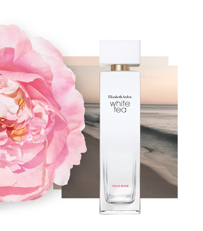 Wild Rose - A sweet, delicate floral fragrance nuanced with freshness that puts a delightful smile on your face